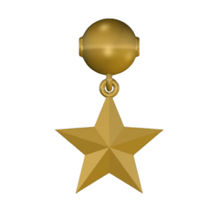 18K Gold Charms